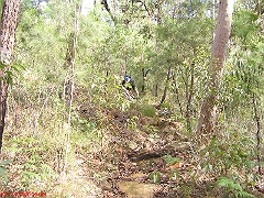 20080420-ONR 115 